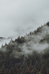 Mountains around Whittier Alaska