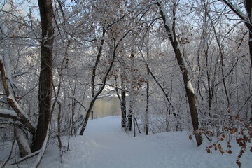 Frosted Trail, Gold Bar Park, Edmonton, Alberta