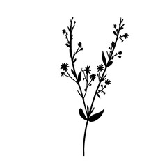 Silhouette Wild Flower Branch. Floral Illustration. Hand drawn black meadow or field elegant herb. Modern botanical rustic greenery.