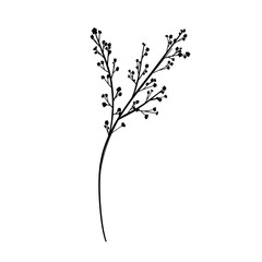 Silhouette Wild Flower Branch. Floral Illustration. Hand drawn black meadow or field elegant herb. Modern botanical rustic greenery.