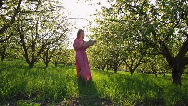 a girl at sunset paints in cherry orchards. The artist paints in the garden. Creative girl is painting a beautiful picture in the garden, holding a palette and brush, using tools to create a canvas.
