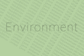 Fototapeta premium Word Environment in languages of world. Logo Environment on Cement color