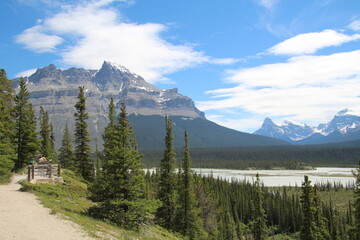 Open Land, Banff National Park, Alberta