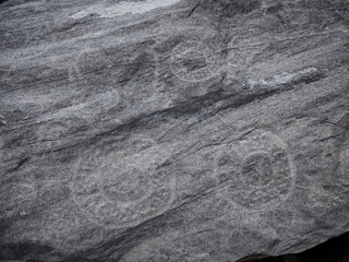 Petroglifos de huancor, figuras geométricas tallada en roca, esferas, circulos, cultura antigua, ...
