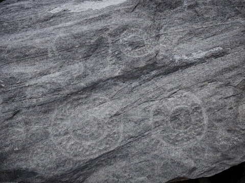 Petroglifos de huancor, figuras geom&eacute;tricas tallada en roca, esferas, circulos, cultura antigua,  Per&uacute;, Sudam&eacute;rica