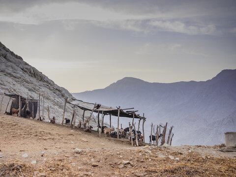 Corral con animales con fondo de monta&ntilde;as al atardecer