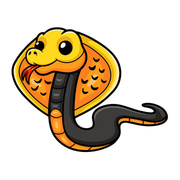Cute philippines cobra cartoon (Naja samarensis)