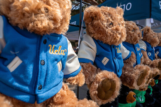 Los Angeles, USA. September 20, 2022. Close-up of teddy bears wearing blue shirts with UCLA text hanging on fence for sale at event in university campus