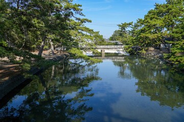 Fototapeta na wymiar 川面に映る津田の松原の松林の情景＠香川
