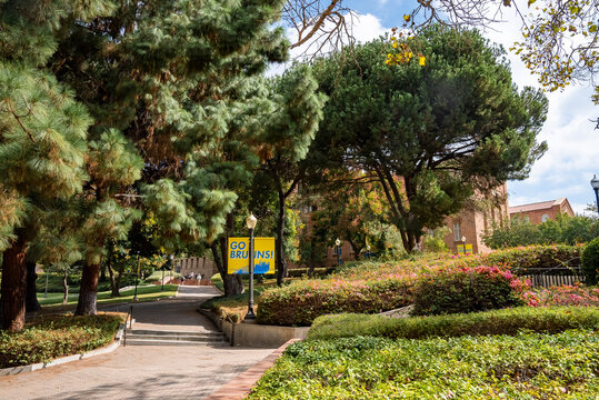 Los Angeles, USA. September 20, 2022. Tranquil view of empty footpath amidst lush plants and trees growing in campus of UCLA during sunny day
