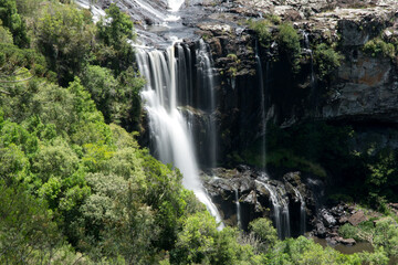 Obraz premium view of a beautiful waterfall in the forest in jaquirana , rio grande do sul state