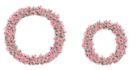 Concept or conceptual set of beautifull blooming lilies bouquets forming the font O. 3d illustration metaphor for education, design and decoration, romance and love, nature, spring or summer.