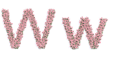 Concept or conceptual set of beautifull blooming lilies bouquets forming the font W. 3d illustration metaphor for education, design and decoration, romance and love, nature, spring or summer.