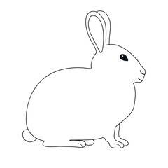 Vector hand drawn flat bunny rabbit isolated on white background