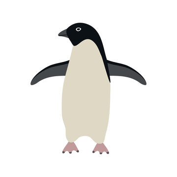 Vector hand drawn flat penguin isolated on white background