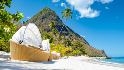 Sugar beach Saint Lucia, a public white tropical beach with palm trees and luxury beach chairs on...