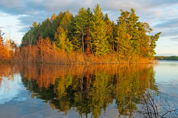 Brilliant Colors in Evening Light