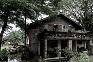 Side view of an abandoned old style wooden house with some plants growing around it with scary vibes