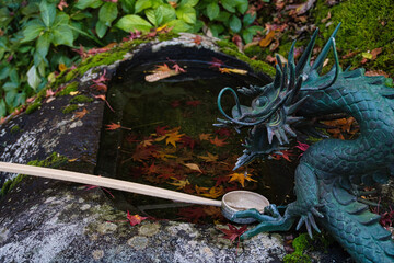 神社境内　秋の風景