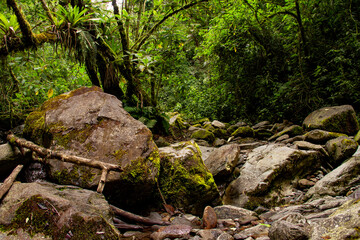 COLOMBIA 