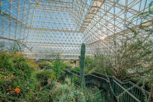 รูปภาพBiome – เลือกดูภาพถ่ายสต็อก เวกเตอร์ และวิดีโอ131,993 | Adobe Stock