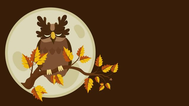 A brown owl in fall
