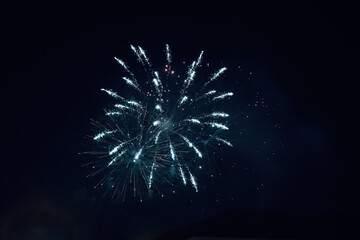 fireworks in the night sky