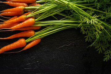 Bunch of Orange Carrots On a Black Background