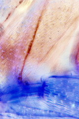 Abstract micrograph of peat moss leaves, with polarization.