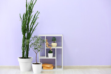 Different houseplants and shelf unit near color wall in room