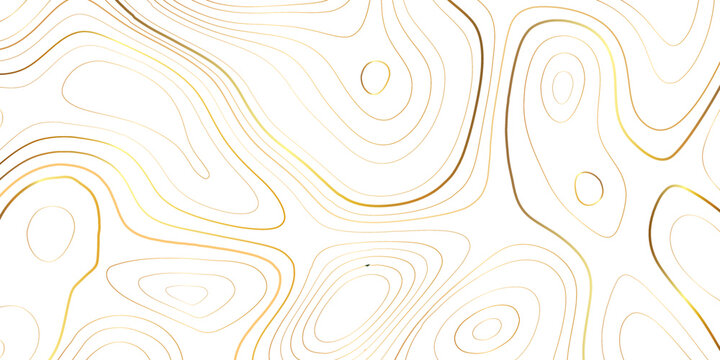 Luxury Gold Abstract Topographic Map Background With Golden Lines Texture, 17:9 Wallpaper Design For Fabric , Packaging , Web, Geographic Grid Map Vector Illustration.