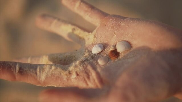 A female hand containing sand,white and brick red coloured  shells unfolding 