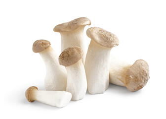 Fresh king oyster mushrooms on white background
