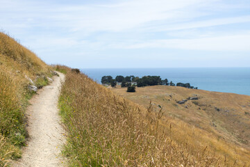 A path with a sea view. A road for hiking with a stunning landscape. Landscape.