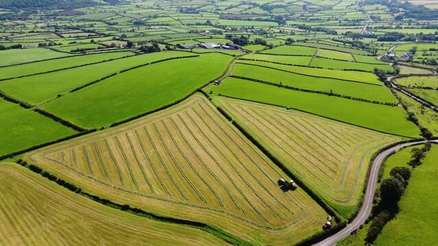 Aerial view of a Self Propelled Harvester Tractor with a Trailer contracting Grass for Silage