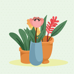 ceramic pots with flowers
