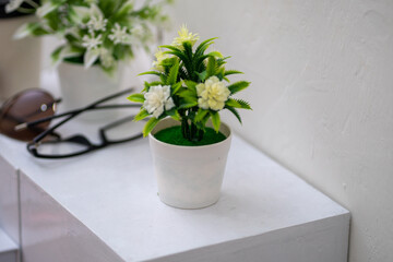 Synthetic Green Decoration Plants in Front of Eyeglasses on White Table