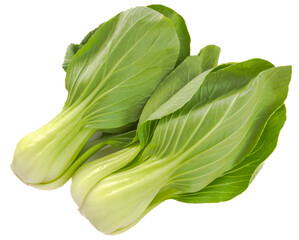 Fresh Chinese cabbage.
