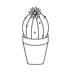 Outline drawing of a flowering cactus in a pot