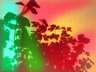 Colorful floral shadow on textile surface. Abstract, sunlight in fairy garden.  Boho style. Home sweet home.  Free space for text