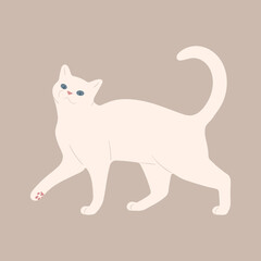 cat No.3