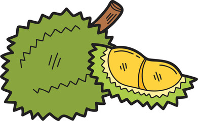 Hand Drawn durian fruit illustration