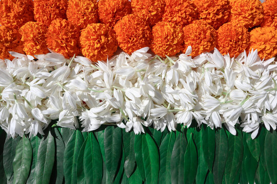 Indian Tricolor theme of Indian National Flag made of Orange marigold flowers, White jasmine flowers and Green fresh leaves.