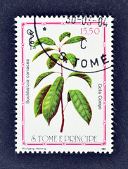 Cancelled postage stamp printed by Sao Tome and Principe, that shows Buchholzia coriacea, wonderful...