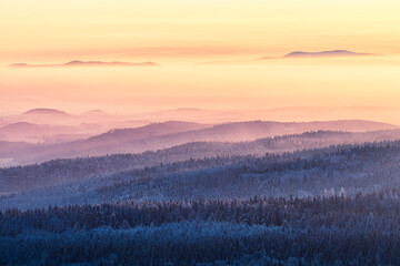 Amazing winter landscape scene during pleasant sunrise. Peaks of mountains and hills in the distance peaking through low fog. Golden light shining through the trees, making shadows stand out even more