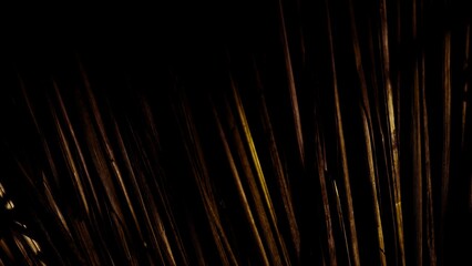 fireworks in the sky