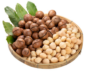 Macadamia nut with leaf in wooden plate on white background, Roasted Macadamia nut on White Background PNG file.