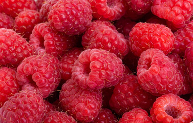 background of red raspberries close-up