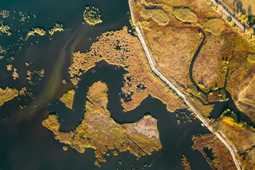 Foto op Plexiglas Aerial view of lake and wetland © adrianad