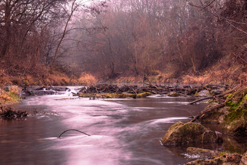 Triestinger Au bei Tattendorf in Niederösterreich